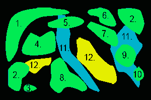 Map of the aquarium