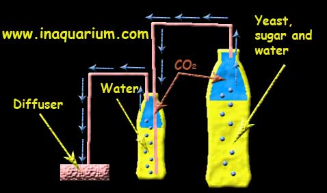 Schemat bimbrowni to produce CO2