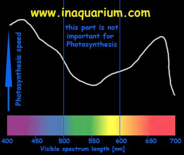 graph of light and photosynthesis speed in the aquarium