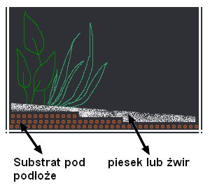 substrato bajo sustrato en acuario